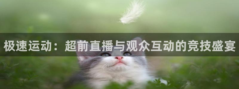 极速运动：超前直播与观众互动的竞技盛宴