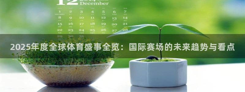 2025年度全球体育盛事全览：国际赛场的未来趋势与看点