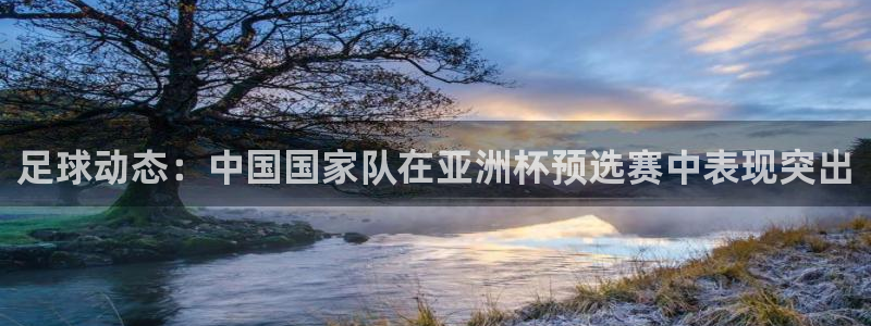 足球动态：中国国家队在亚洲杯预选赛中表现突出