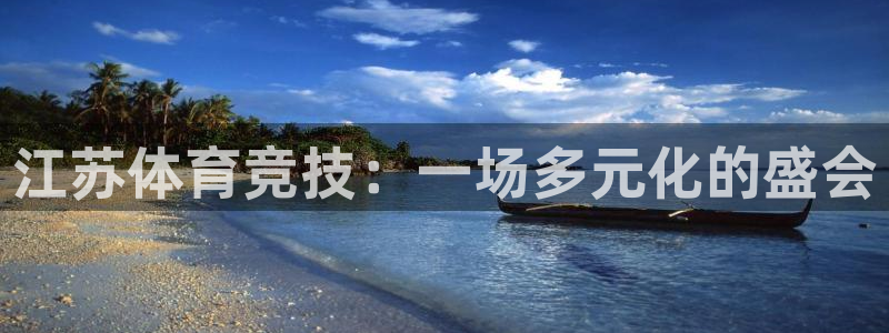 江苏体育竞技：一场多元化的盛会