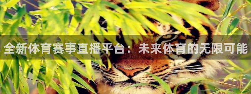 全新体育赛事直播平台：未来体育的无限可能