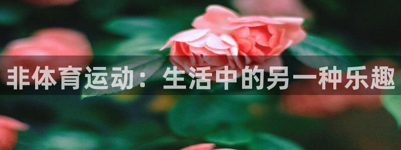 非体育运动：生活中的另一种乐趣