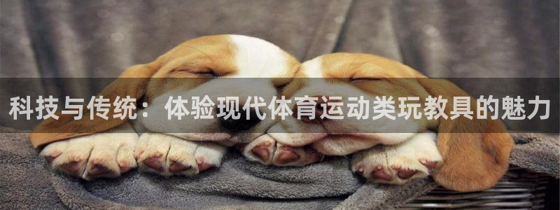 科技与传统：体验现代体育运动类玩教具的魅力