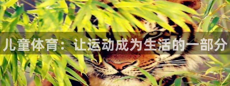 儿童体育：让运动成为生活的一部分