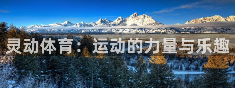 灵动体育：运动的力量与乐趣