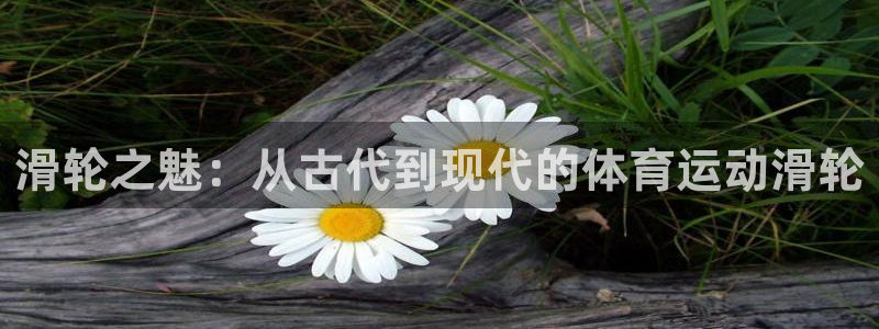滑轮之魅：从古代到现代的体育运动滑轮