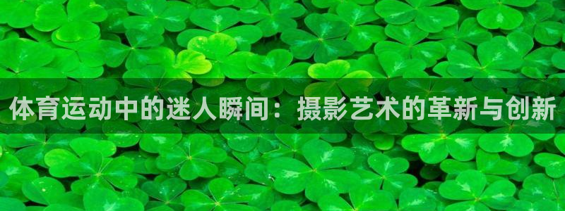 体育运动中的迷人瞬间：摄影艺术的革新与创新