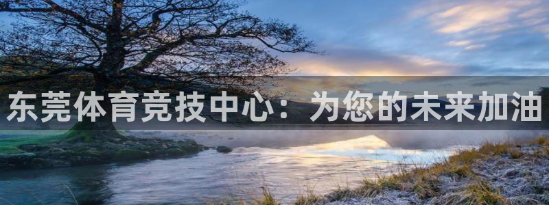 东莞体育竞技中心：为您的未来加油