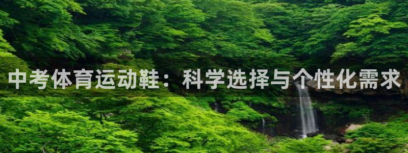 中考体育运动鞋：科学选择与个性化需求