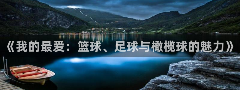 《我的最爱：篮球、足球与橄榄球的魅力》