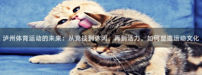 泸州体育运动的未来：从竞技到休闲，再到活力，如何塑造运动文化