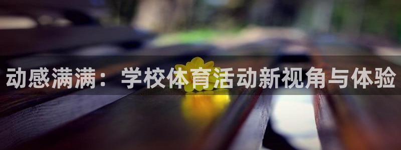 动感满满：学校体育活动新视角与体验