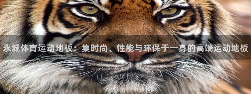 永城体育运动地板：集时尚、性能与环保于一身的高端运动地板