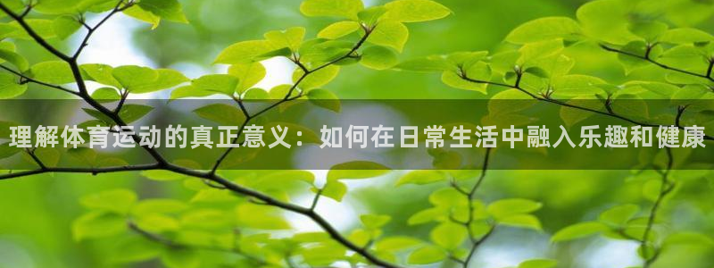 理解体育运动的真正意义：如何在日常生活中融入乐趣和健康