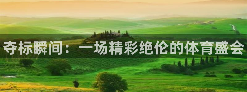 夺标瞬间：一场精彩绝伦的体育盛会
