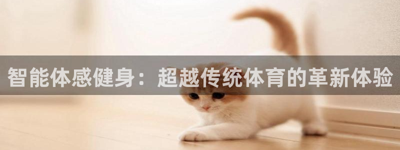 智能体感健身：超越传统体育的革新体验