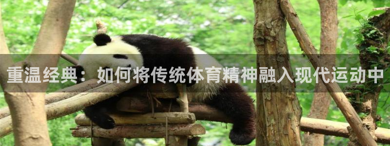 重温经典：如何将传统体育精神融入现代运动中